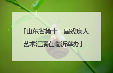 山东省第十一届残疾人艺术汇演在临沂举办