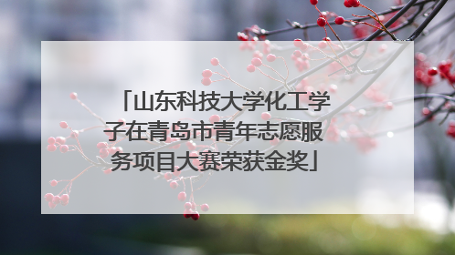 山东科技大学化工学子在青岛市青年志愿服务项目大赛荣获金奖