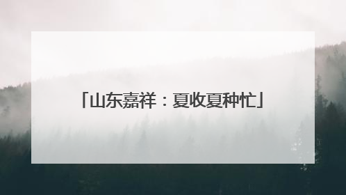 山东嘉祥：夏收夏种忙