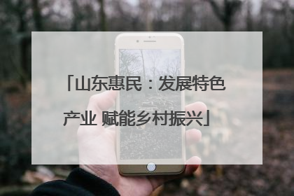山东惠民：发展特色产业 赋能乡村振兴