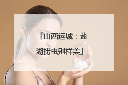 山西运城：盐湖捞虫别样美
