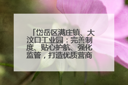 岱岳区满庄镇、大汶口工业园：完善制度、贴心护航、强化监管，打造优质营商“强磁场”