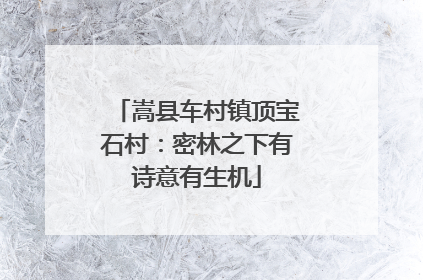 嵩县车村镇顶宝石村：密林之下有诗意有生机