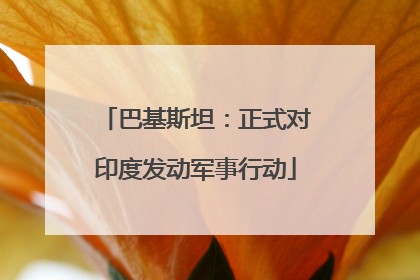 巴基斯坦：正式对印度发动军事行动