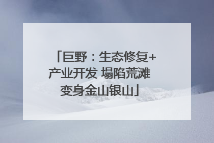 巨野：生态修复+产业开发 塌陷荒滩变身金山银山