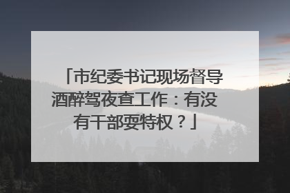 市纪委书记现场督导酒醉驾夜查工作：有没有干部耍特权？