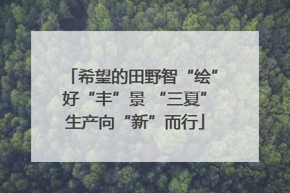 希望的田野智“绘”好“丰”景 “三夏”生产向“新”而行