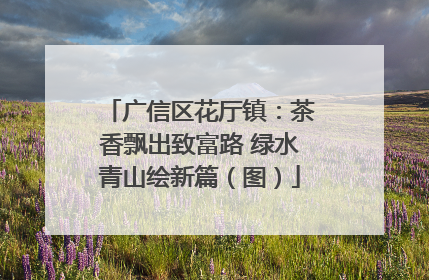 广信区花厅镇：茶香飘出致富路 绿水青山绘新篇（图）