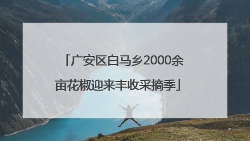 广安区白马乡2000余亩花椒迎来丰收采摘季