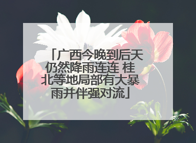 广西今晚到后天仍然降雨连连 桂北等地局部有大暴雨并伴强对流