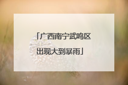 广西南宁武鸣区出现大到暴雨