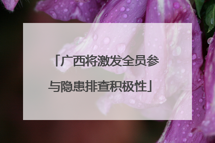 广西将激发全员参与隐患排查积极性