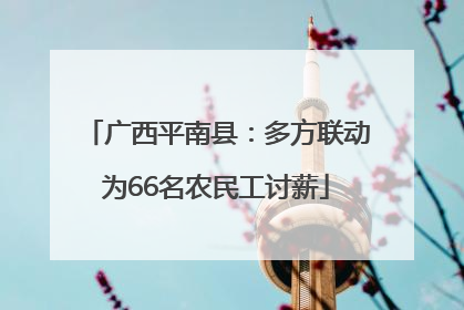 广西平南县：多方联动为66名农民工讨薪