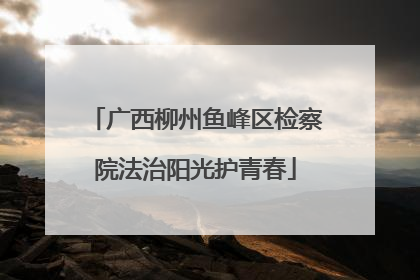 广西柳州鱼峰区检察院法治阳光护青春