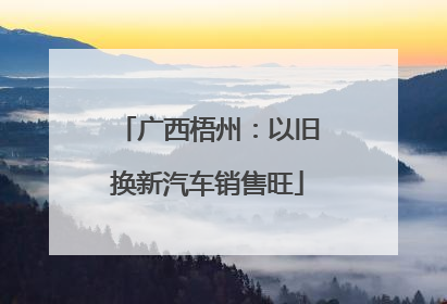 广西梧州：以旧换新汽车销售旺