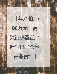 年产值1500万元！高兴镇小蚕茧“吐”出“金丝产业链”