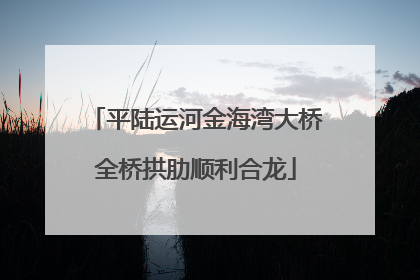 平陆运河金海湾大桥全桥拱肋顺利合龙