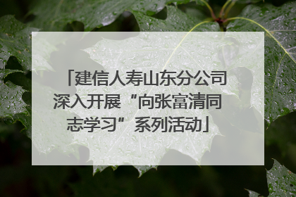 建信人寿山东分公司深入开展“向张富清同志学习”系列活动