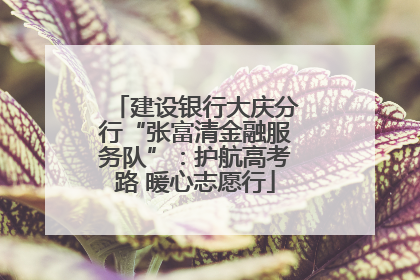 建设银行大庆分行“张富清金融服务队”：护航高考路 暖心志愿行