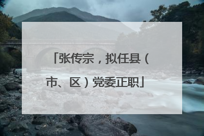 张传宗，拟任县（市、区）党委正职