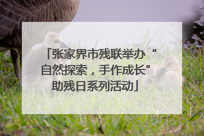 张家界市残联举办“自然探索，手作成长”助残日系列活动