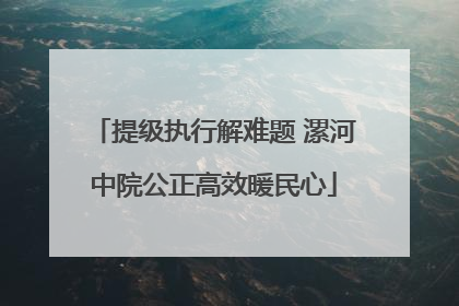 提级执行解难题 漯河中院公正高效暖民心