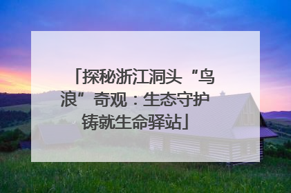 探秘浙江洞头“鸟浪”奇观：生态守护铸就生命驿站