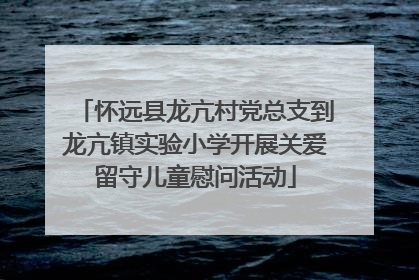 怀远县龙亢村党总支到龙亢镇实验小学开展关爱留守儿童慰问活动