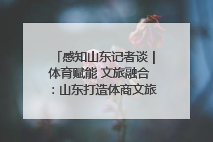 感知山东记者谈｜体育赋能 文旅融合：山东打造体商文旅融合发展新格局