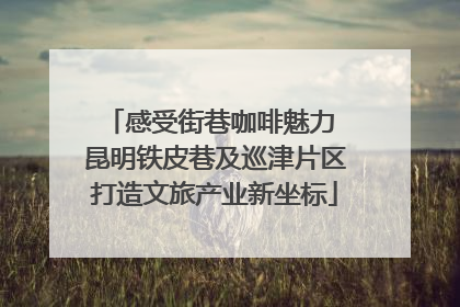 感受街巷咖啡魅力 昆明铁皮巷及巡津片区打造文旅产业新坐标