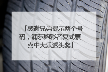 感谢兄弟提示两个号码，浦东购彩者复式票喜中大乐透头奖