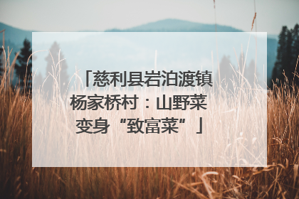 慈利县岩泊渡镇杨家桥村：山野菜变身“致富菜”