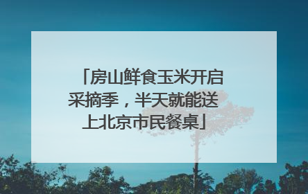 房山鲜食玉米开启采摘季，半天就能送上北京市民餐桌