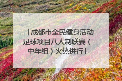 成都市全民健身活动足球项目八人制联赛（中年组）火热进行