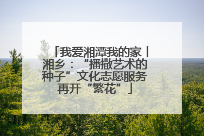 我爱湘潭我的家丨湘乡：“播撒艺术的种子”文化志愿服务再开“繁花”