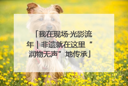 我在现场·光影流年｜非遗就在这里“润物无声”地传承