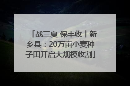 战三夏 保丰收丨新乡县：20万亩小麦种子田开启大规模收割