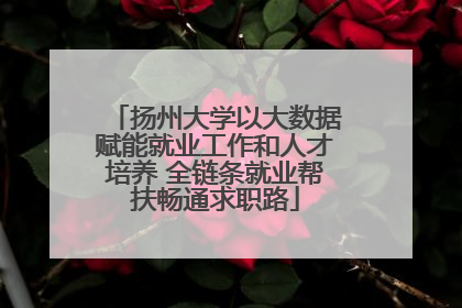 扬州大学以大数据赋能就业工作和人才培养 全链条就业帮扶畅通求职路