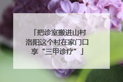 把诊室搬进山村 洛阳这个村在家门口享“三甲诊疗”