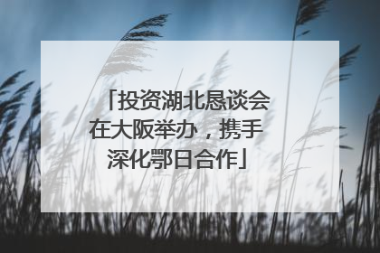 投资湖北恳谈会在大阪举办，携手深化鄂日合作