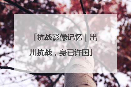 抗战影像记忆｜出川抗战，身已许国