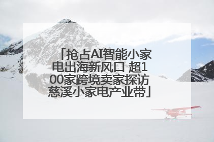 抢占AI智能小家电出海新风口 超100家跨境卖家探访慈溪小家电产业带