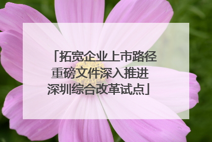 拓宽企业上市路径 重磅文件深入推进深圳综合改革试点