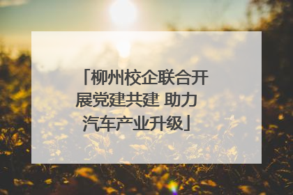 柳州校企联合开展党建共建 助力汽车产业升级