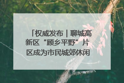 权威发布｜聊城高新区“顾乡平野”片区成为市民城郊休闲全新目的地