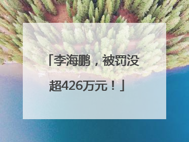 李海鹏，被罚没超426万元！