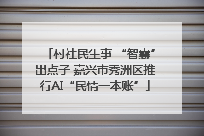 村社民生事 “智囊”出点子 嘉兴市秀洲区推行AI“民情一本账”