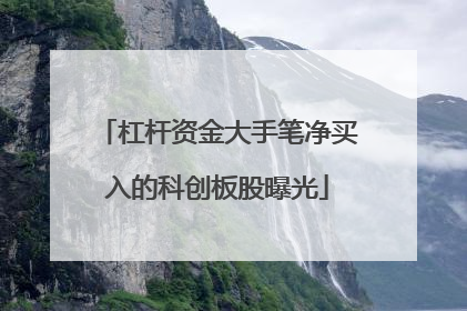 杠杆资金大手笔净买入的科创板股曝光