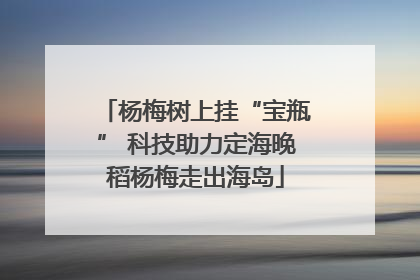 杨梅树上挂“宝瓶” 科技助力定海晚稻杨梅走出海岛