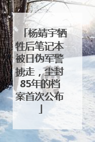 杨靖宇牺牲后笔记本被日伪军警掳走，尘封85年的档案首次公布